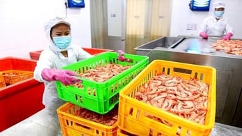Thuế đối ứng với Mỹ: Kích hoạt đầu tư nhờ ưu đãi hàng Mỹ, hàng xuất khẩu nào hưởng lợi?