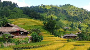 Du lịch Bản Liền Lào Cai: Chốn bình yên cho những ai yêu thiên nhiên và văn hóa bản địa
