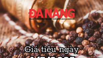 Tin tức, dự báo giá tiêu ngày mai 4/7/2025 chuỗi domino giảm đồng loạt