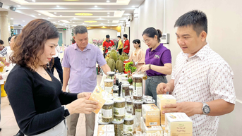 Hỗ trợ doanh nghiệp phát triển tài sản trí tuệ