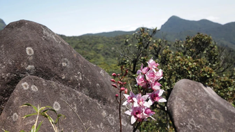 ស្វែងយល់ពីភាពស្រស់ស្អាតរបស់ Pa Thien និង Voi Mep