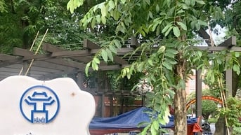 Loay hoay giữ gìn vẻ đẹp công viên, vườn hoa