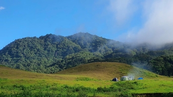 មាន "វាលស្មៅ" តូចមួយដ៏ស្រស់ស្អាតដូចរូបភាពនៅកណ្តាលព្រំដែនដ៏ធំនៃ Dak Plo ។
