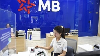 Báo lãi ngàn tỉ, lợi nhuận ngân hàng đến từ đâu trong tăng trưởng tín dụng?