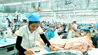 Bổ sung 51 thủ tục hành chính thuộc lĩnh vực quản lý doanh nghiệp của Sở Tài chính