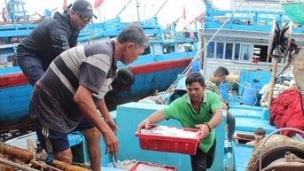 Đà Nẵng hoàn thành xử lý hơn 1.900 tàu cá '3 không'