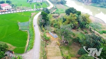 Bảo vệ trọng điểm đê điều xung yếu