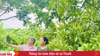 정책자본의 원활한 흐름 확보