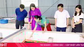 Triển vọng từ mô hình nuôi lươn không bùn đầu tiên ở xã Thượng Đức