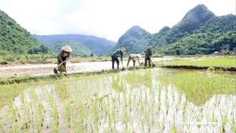 Thời tiết Nghệ An ngày 31/7: Ngày nắng nóng, chiều và đêm có mưa rào và dông và nơi