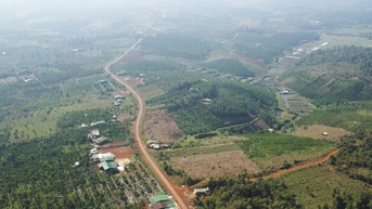 Lam Dong វិនិយោគ​លើ​គម្រោង​គោ​ទឹក​ដោះ​គោ​ដែល​មាន​តម្លៃ​ជាង ៨ ពាន់​ពាន់​លាន​ដុង