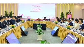 Nhật Bản dẫn đầu về số vốn đăng ký đầu tư vào Đà Nẵng với hơn 1,14 tỷ USD