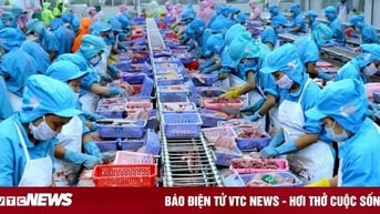 Doanh nghiệp Việt chuẩn bị sẵn sàng để thích ứng với thuế quan của Mỹ