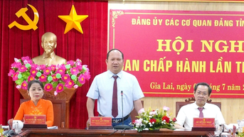 Hội nghị lần thứ nhất Ban chấp hành Đảng bộ các cơ quan Đảng tỉnh Gia Lai