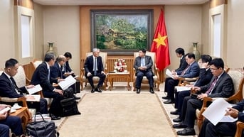 Hoan nghênh phát triển điện sinh khối tại Việt Nam
