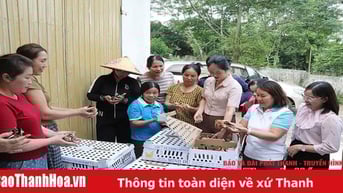 Xây dựng mô hình kinh tế tập thể hướng đến liên kết, phát triển bền vững