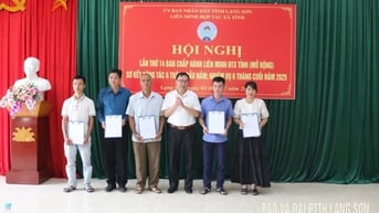Sơ kết tình hình phát triển kinh tế tập thể 6 tháng đầu năm 2025