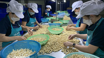 Nền tảng cho xã trọng điểm công nghiệp bứt phá