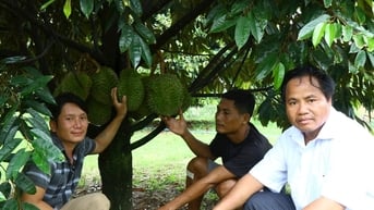 Ấm no dưới tán rừng Cát Tiên