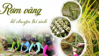 Rơm vàng kể chuyện tái sinh
