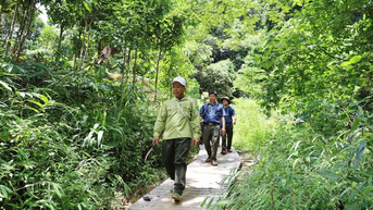 Bảo Nhai làm đường tuần tra rừng kết hợp khai thác du lịch