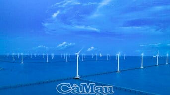 Điện xanh trên biển Cà Mau