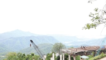 Khi rừng - biển giao hòa