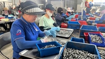 Nâng cao chất lượng hoạt động của công đoàn cơ sở