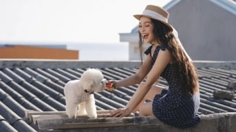 Hiền Thục sẽ 'sống được 200 năm nữa' nếu vẫn có hit Nhật ký của mẹ