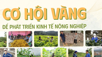 Cơ hội vàng để phát triển kinh tế nông nghiệp