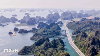 Quảng Ninh: Trình diễn pháo hoa mỗi cuối tuần hướng tới kỷ niệm Quốc khánh
