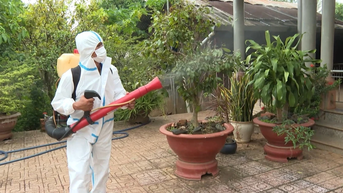 Hà Nội: Số ca mắc sốt xuất huyết tăng, COVID-19 giảm mạnh