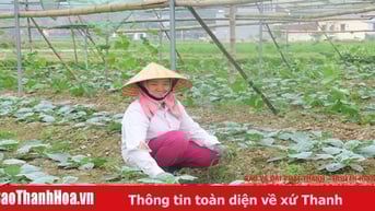 Duy trì chất lượng VietGAP sau chứng nhận