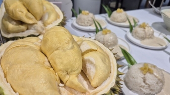 Giải mã sức hút buffet sầu riêng 199.000 đồng tại TP HCM