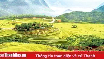 Du lịch Thanh Hóa: “Vươn mình” mạnh mẽ trên bản đồ du lịch quốc gia