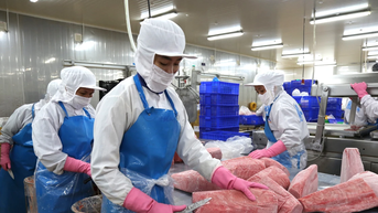 Gia Lai: Kim ngạch xuất khẩu tăng 21,3%