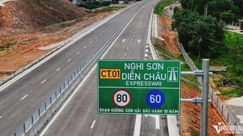 Phó Thủ tướng phê bình việc báo cáo vụ Tập đoàn Sơn Hải trượt thầu ‘rất chậm'