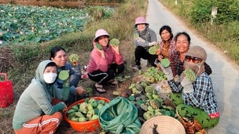 Trồng sen gây quỹ hỗ trợ phụ nữ, trẻ em