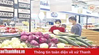 Cuộc đua mở rộng thị trường bán lẻ giữa hàng nội và ngoại