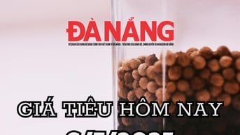 Giá tiêu hôm nay 6/7/2025 Đắk Lắk neo ở mức cao nhất 144.000 đồng/kg, giữ vững vị thế