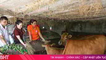 Nâng cao quyền năng phụ nữ từ dự án của Tổ chức Bánh mì cho thế giới