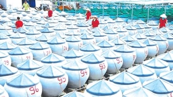 “Mảnh đất màu mỡ” sản sinh doanh nghiệp