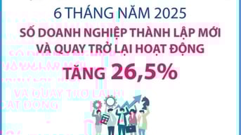 Số doanh nghiệp thành lập mới và quay trở lại hoạt động tăng 26,5%