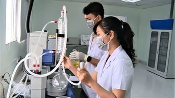 Hướng đến top 10 cả nước về đổi mới sáng tạo và chuyển đổi số