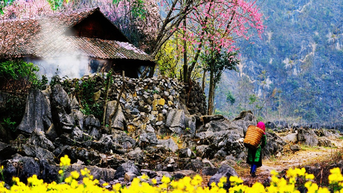 បទពិសោធន៍ទេសចរណ៍ Meo Vac - ស្វែងយល់ពីទីក្រុង "កំណាព្យ" នៃ Ha Giang