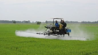 Theo sát đồng ruộng, phòng trừ sâu, bệnh gây hại lúa