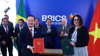 Việt Nam và Brazil tăng cường hợp tác về công nghệ và đổi mới sáng tạo