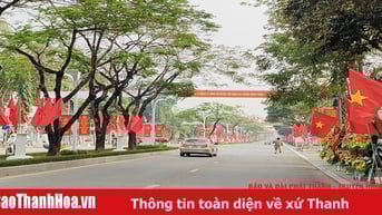 Tự hào những “Đường cờ Tổ quốc”