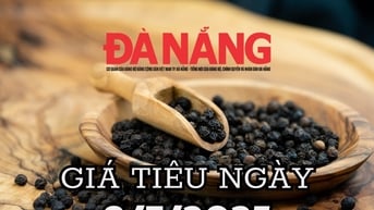 Dự báo giá tiêu ngày mai 8/7/2025 đà tăng yếu lại quanh mức 2.000 đồng