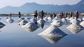 Hạnh phúc 100 năm nghề Muối đời người